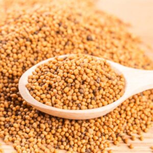 SEMILLA DE MOSTAZA
